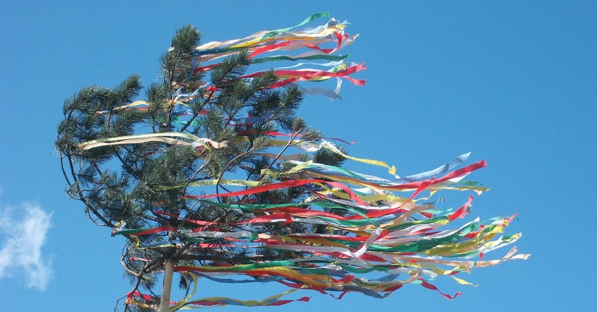 Daaden: Wunschbaum statt Maibaum - Brger knnen sich an Projekt beteiligen 