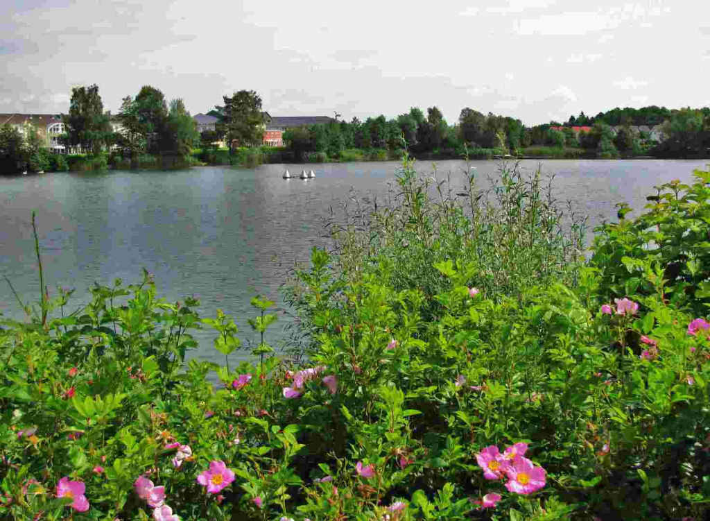 Kostenfreie gefhrte Wanderung auf dem Eulerweg