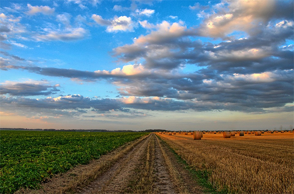 EULLa-Antragsverfahren fr Landwirte erffnet