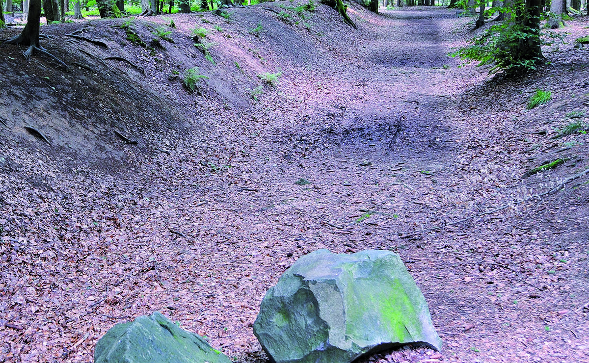 Whrend der Wanderung ist an einigen Stellen der Verlauf des Limeswalls zu erkennen. Foto Quelle: Stadt Neuwied