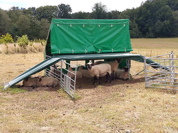 Ob natrlich oder Marke Eigenbau  alle Tiere, die im Freien gehalten werden, brauchen bei groer Hitze ein schattiges Pltzchen und ausreichend frisches Wasser. Foto: Pressestelle der Kreisverwaltung