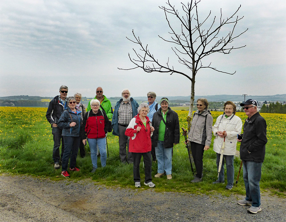 Unterwegs auf dem blauen Lwenpfad in Hachenburg