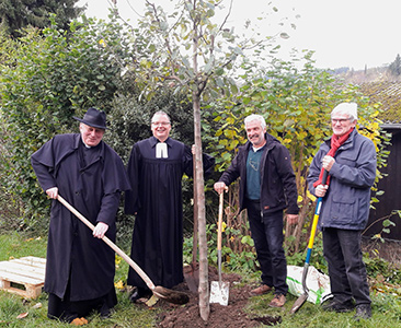 Ein Apfelbaum erinnert evangelische Christen nun in Wissen an 500 Jahre Reformation in Deutschland. Von links nach rechts: Pfarrer Martin Krten, Pfarrer Marcus Tesch, Klaus Schrg und Presbyter Willi Burbach. Foto: Evangelische Kirchengemeinde Wissen