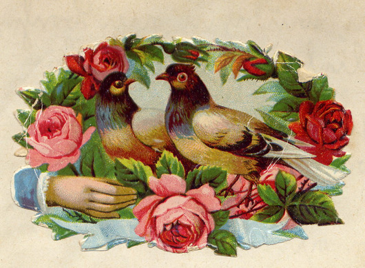Tauben- und Blumenbilder waren sehr oft Motive für das Poesiealbum. (Foto: Rolf-Dieter Rötzel)