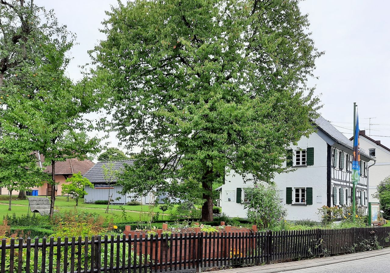 Interkulturelles Gartenfest am Raiffeisenhaus Flammersfeld 