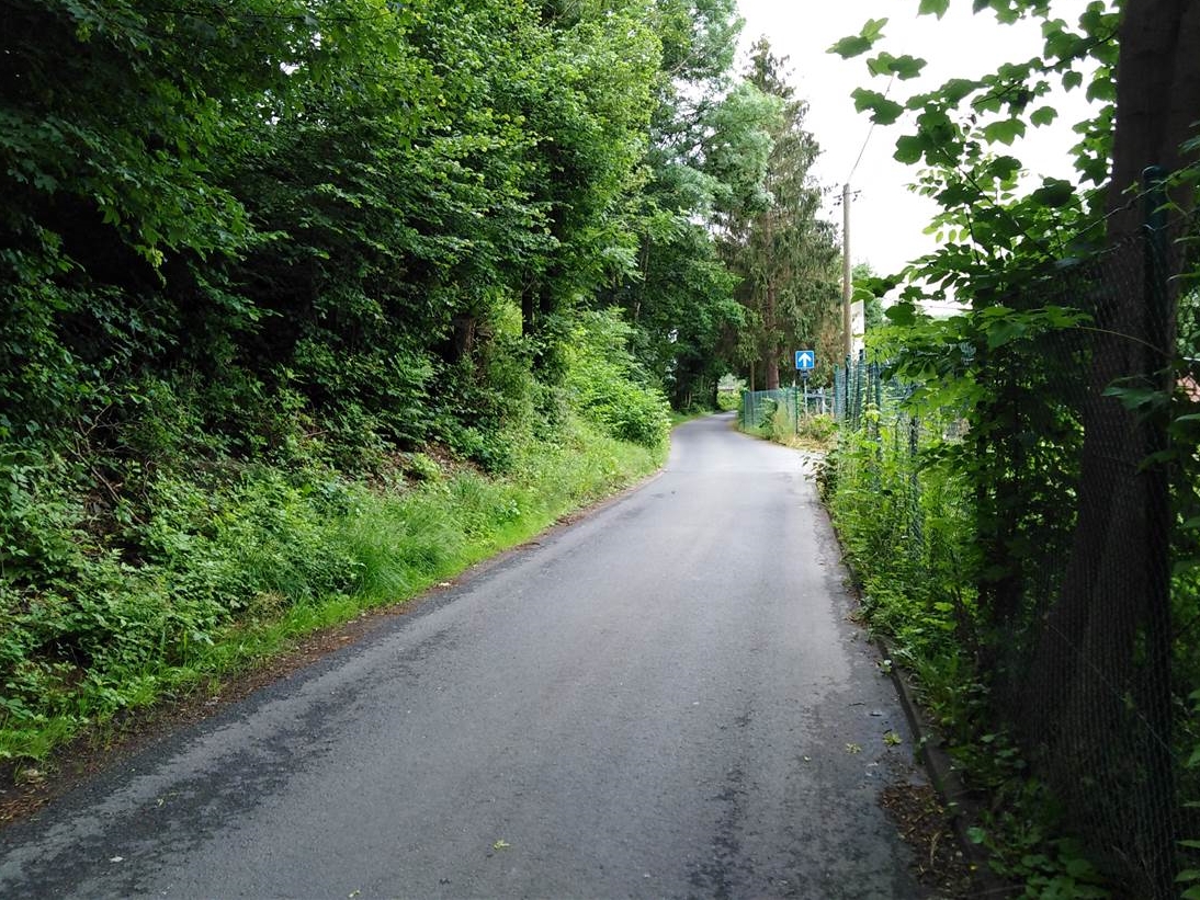 Die schmale Blhaustrae in Wissen wird bereits seit langem von Fugngern und Radfahrern stark genutzt, hier
verluft zum Beispiel der Botanische Weg. (Foto: Verbandsgemeinde Wissen)  