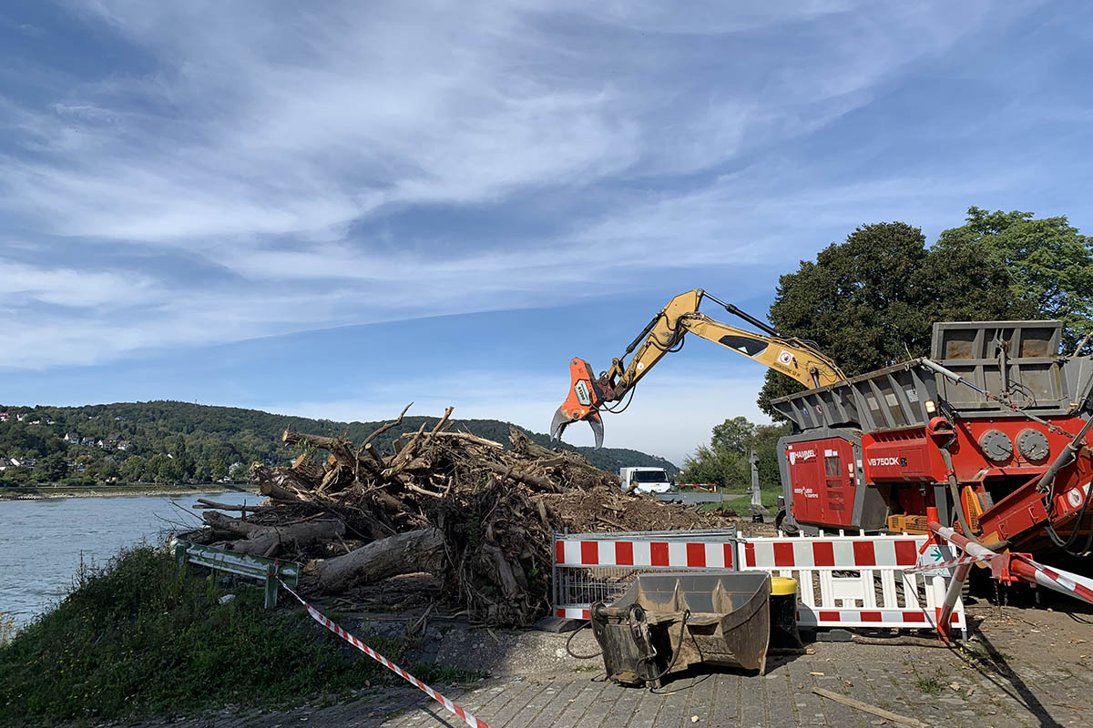 Treibgut wird in Unkel zu Spnen