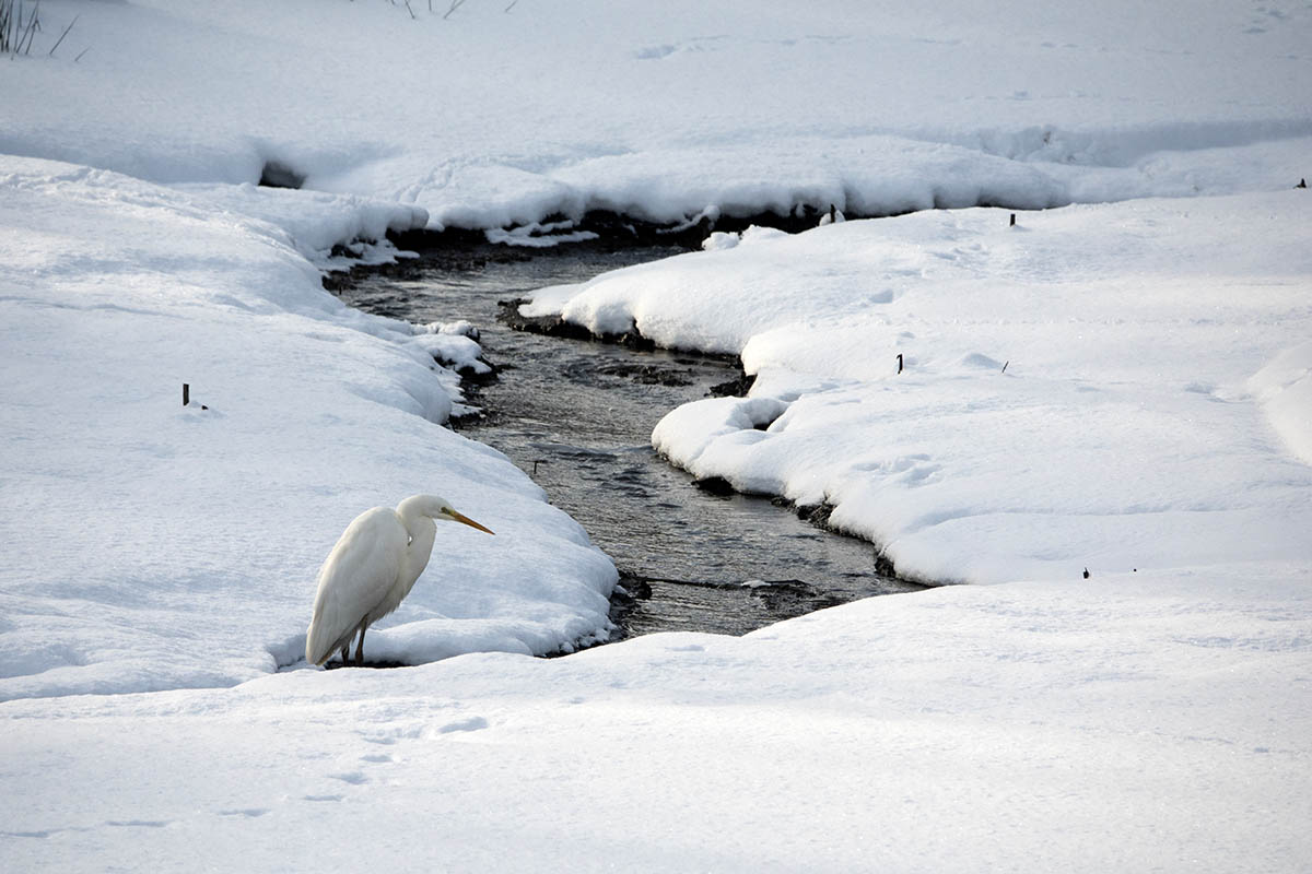 Westerwaldwetter: Kaltes Wochenende mit ein wenig Schneefall steht an