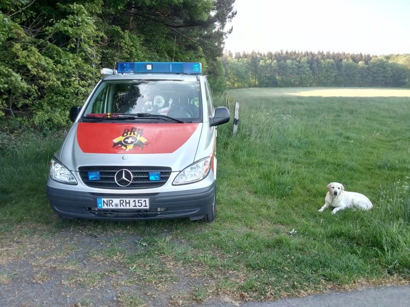 Rettungshunde-Staffel im Sondereinsatz. Fotos: privat