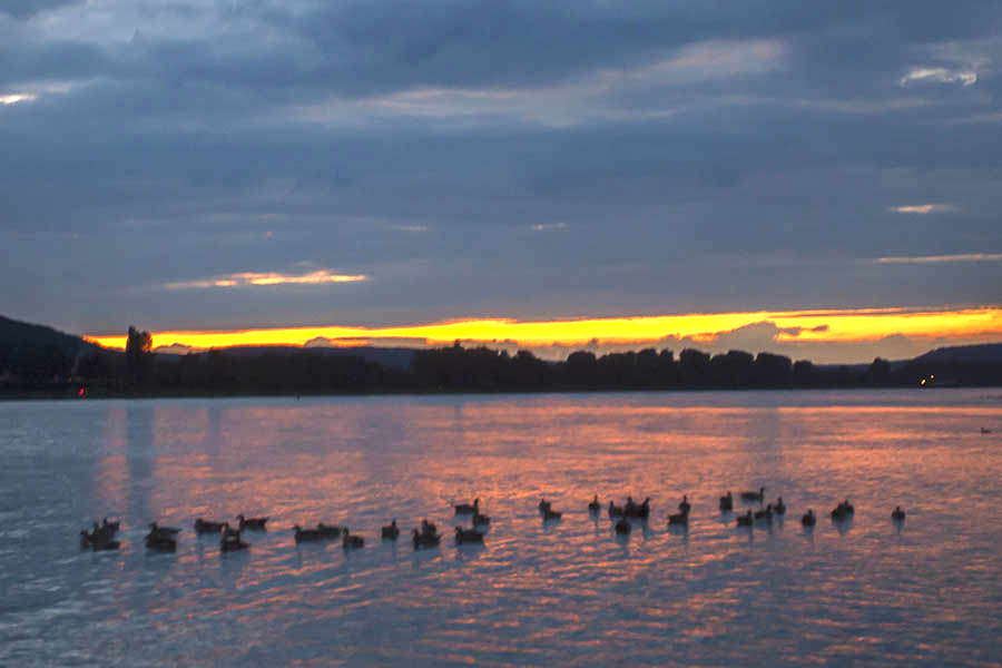 Der Rhein bei Bad Hnningen. Foto: Wolfgang Tischler