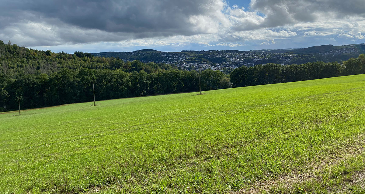 Am Rdderstein soll das Neubaugebiet Auf der Sieghhe entstehen. Die Planungen sehen ein kologisches Vorzeigeprojekt mit Referenzcharakter vor. (Foto: KathaBe) 