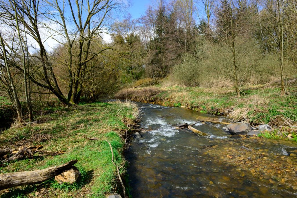 Rothenbachaue. Foto: Harry Neumann/NI