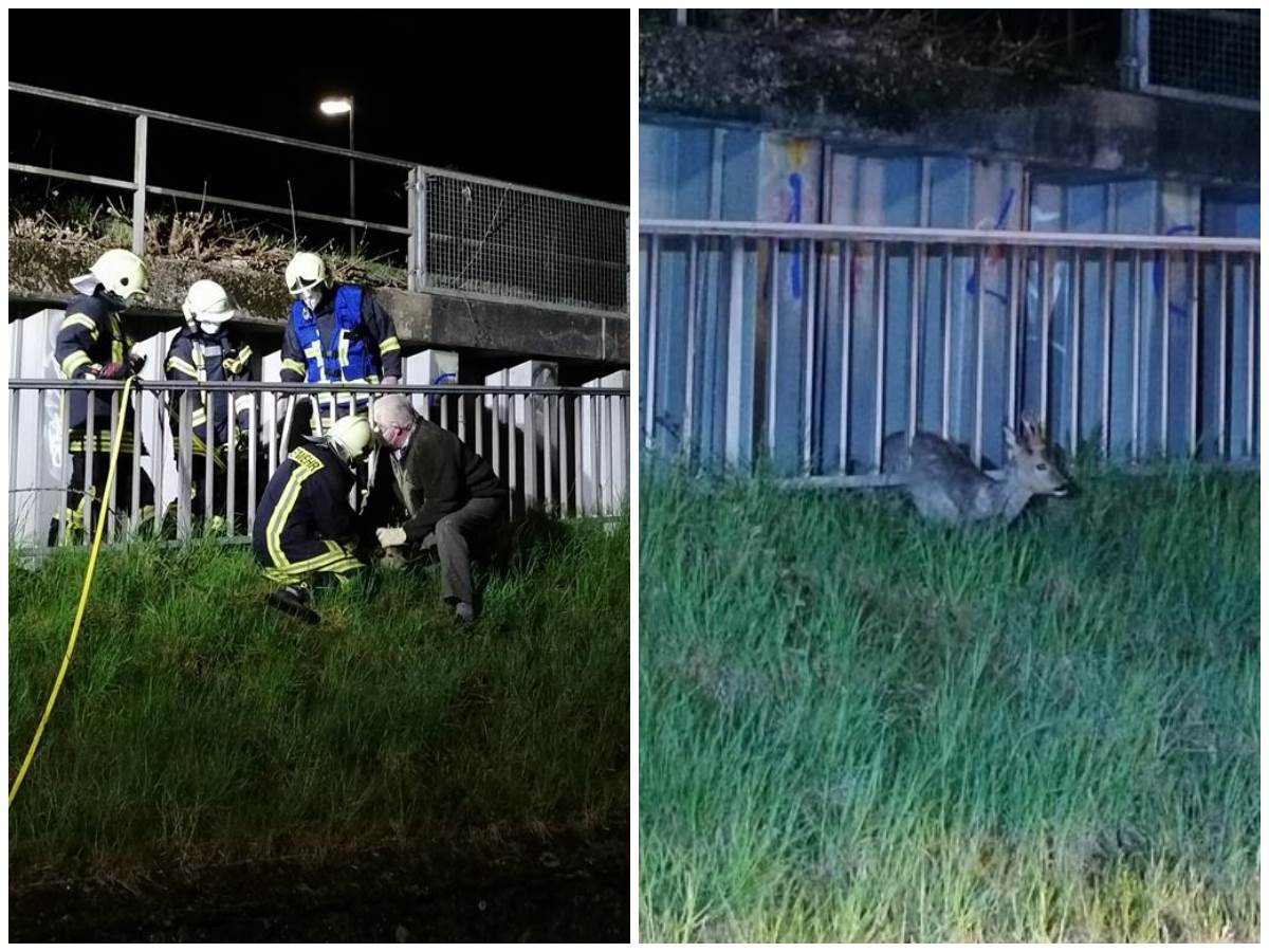 Rehrettung an der Kirchener Bahnstrae. (Fotos: Polizei) 