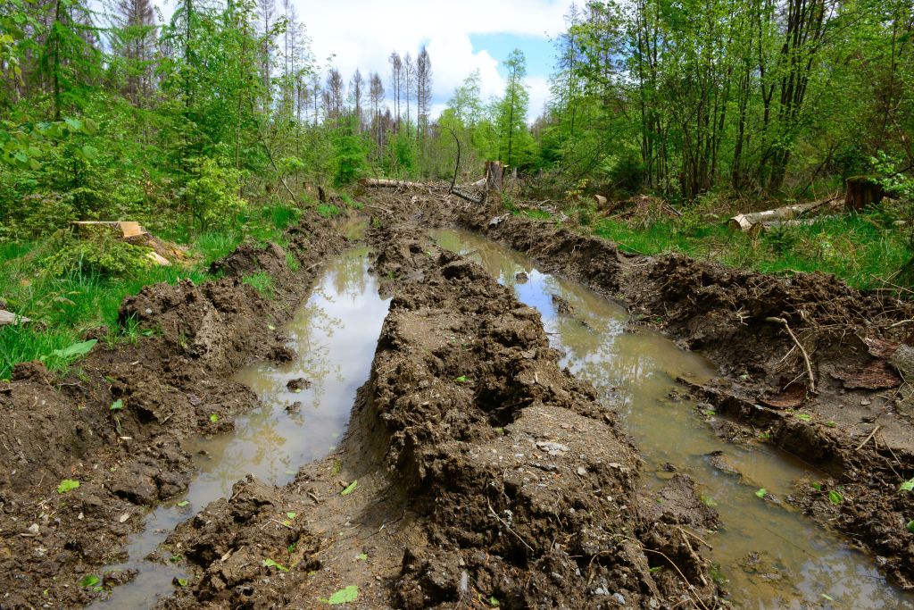 Durch die industrielle Waldbewirtschaftung mit kettenverstrkten Rckemaschinen und Harvestern entstehen schwere Waldschden. Diese Bilder aus dem Gemeindewald Dreifelden, Naturschutzgebiet und FFH Gebiet im nrdlichen Rheinland-Pfalz sind leider kein Einzelfall. Fotos: Harry Neumann/NI