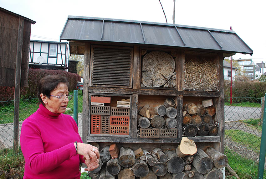 Exkursion zum Lebensraum Wildbienen und Hummeln in Rengsdorf