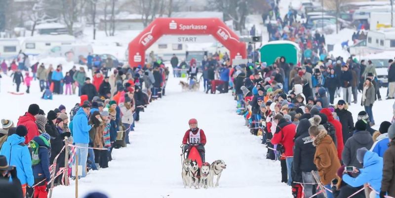 Jubilums-Schlittenhunderennen auf 2022 verschoben