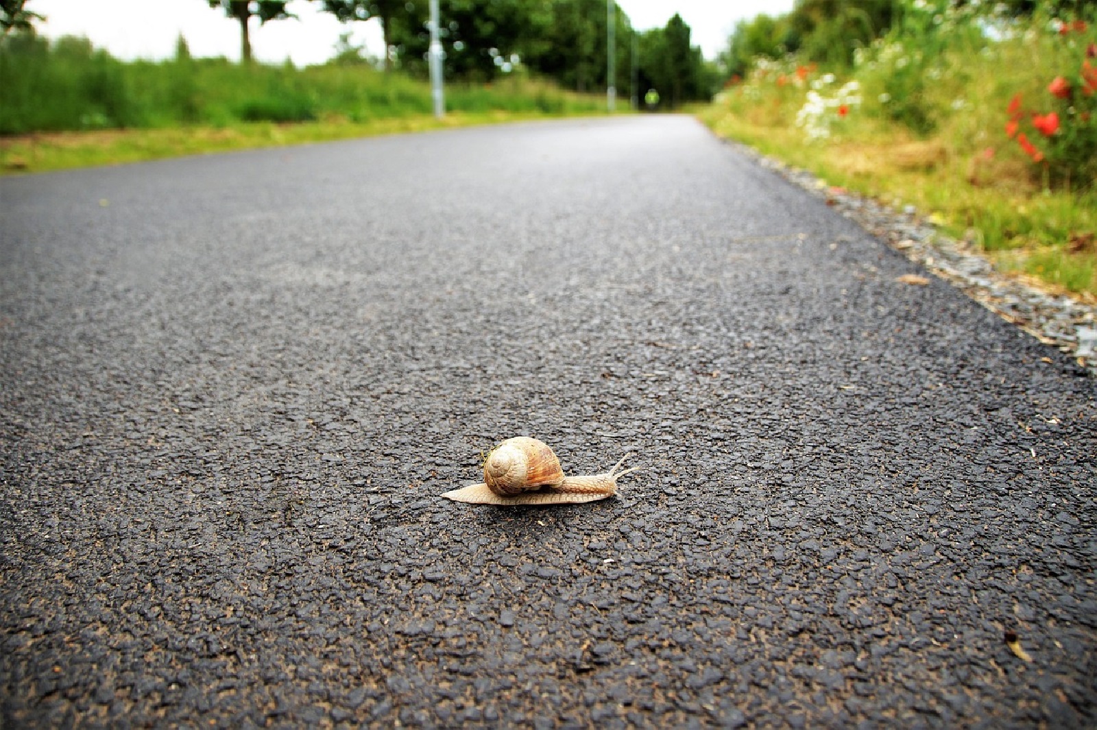 Symbolbild (Quelle: Pixabay)