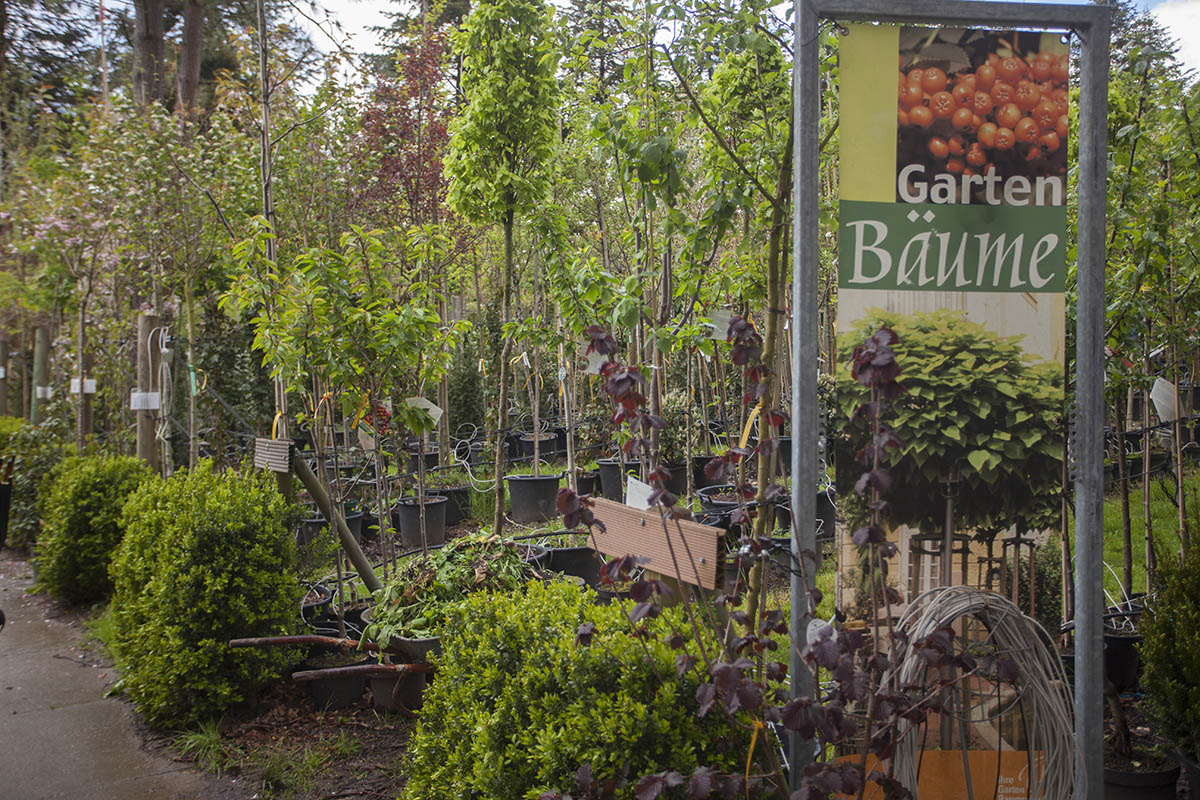 Pflanzenhof Schrg bietet besonderes Naturerlebnis