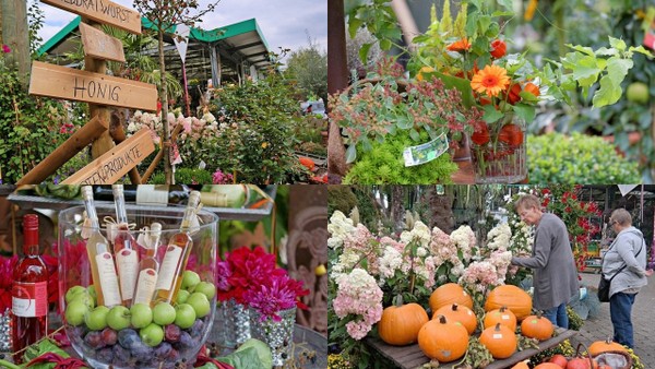 Die Herbstgensse auf dem Wissener Pflanzenhof Schrg stehen bevor. (Fotos: Pflanzenhof Schrg/Archiv AK-Kurier)