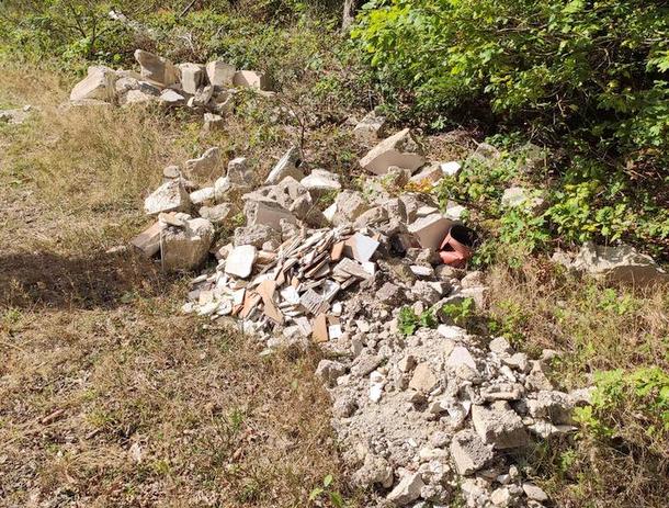 Rund zwei Kubikmeter Bauschutt wurden im Wald bei Hagdorn abgekippt. Die Wissener Polizei sucht mgliche Zeugen. (Foto: Polizei) 