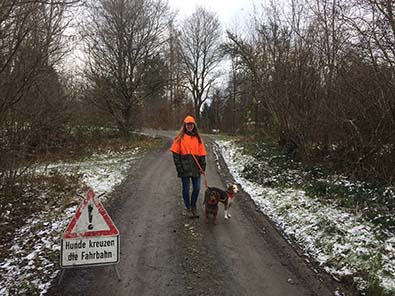 Drck- und Treibjagden sind notwendig. Fotos Thomas Boschen