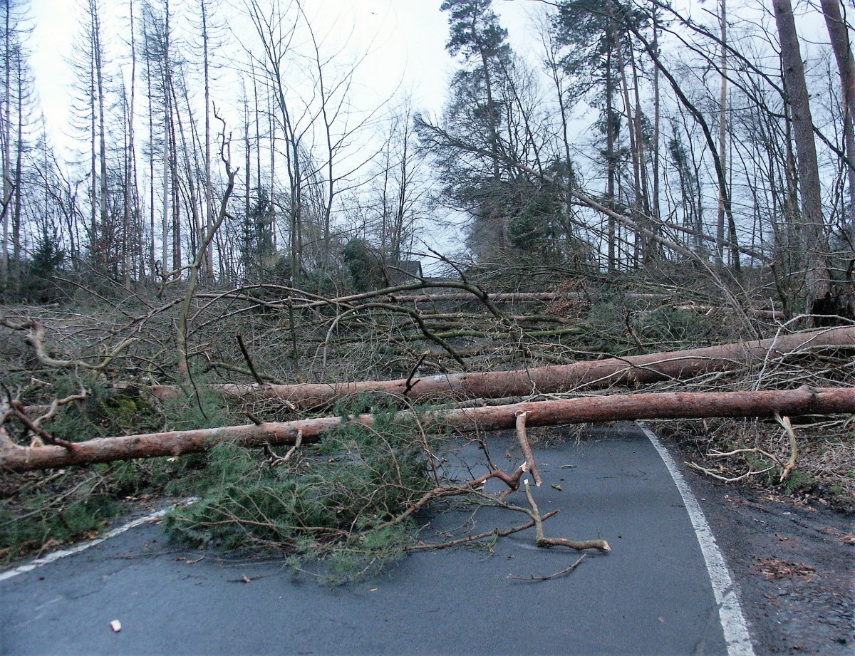 Eine der vielen Folgen des letzten Sturms. (Foto: bt) 