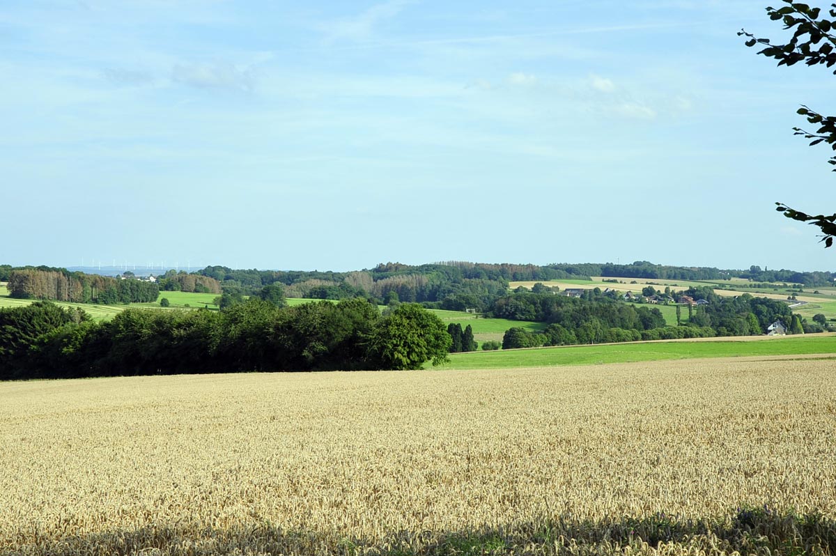 An der "Bergstation" bietet sich ein fantastischer Blick. Fotos: kk