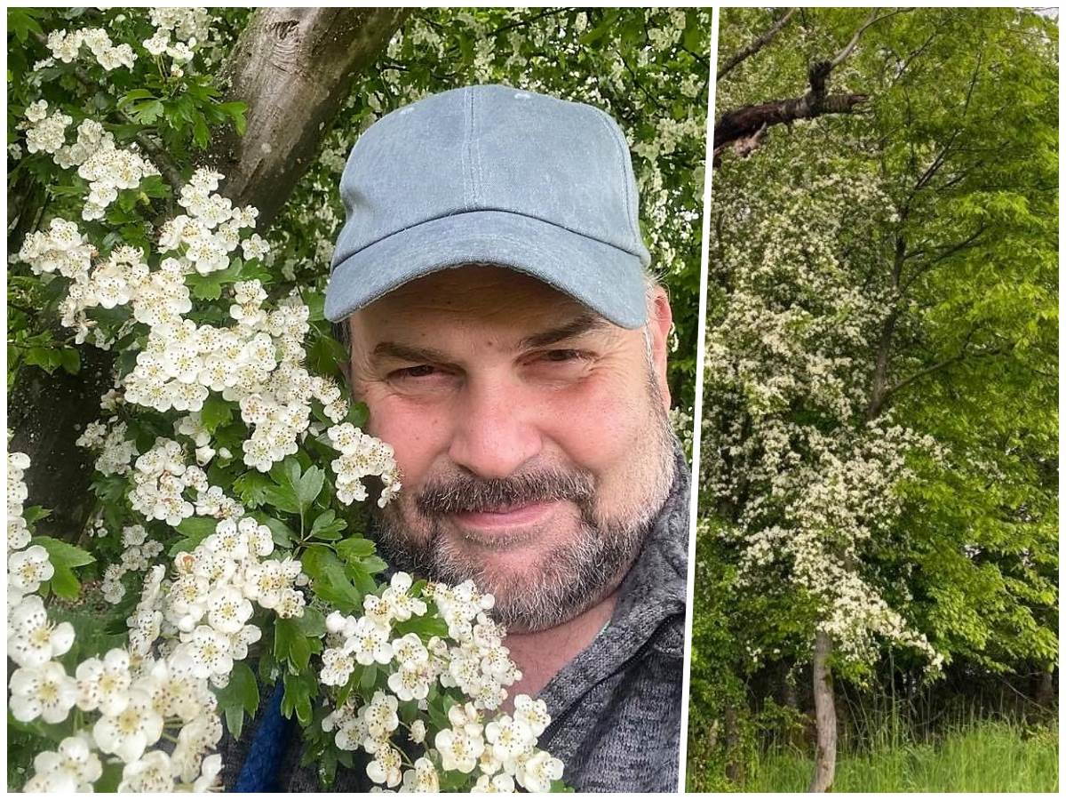 Schon der Duft des Weidorns ist verheiungsvoll. Kchenmeister Steiniger erklrt, wie man aus dem Gewchs einen leckeren Likr machen kann. (Fotos: Uwe Steiniger)