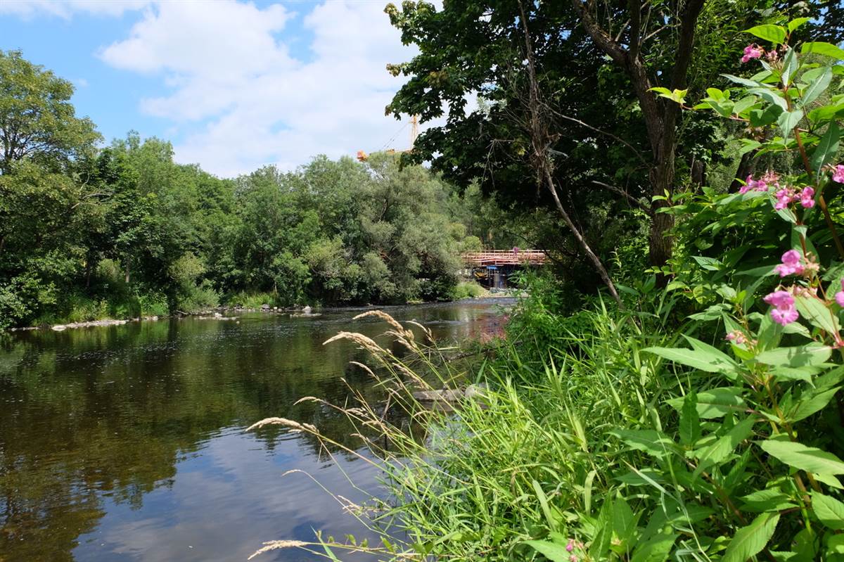 Nicht nur idyllisch, sondern lebenswichtig: das Wasser der Sieg. Foto: KathaBe