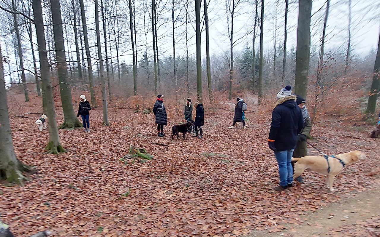 Schnffelarbeit war gefragt. (Fotos: Hochstein)