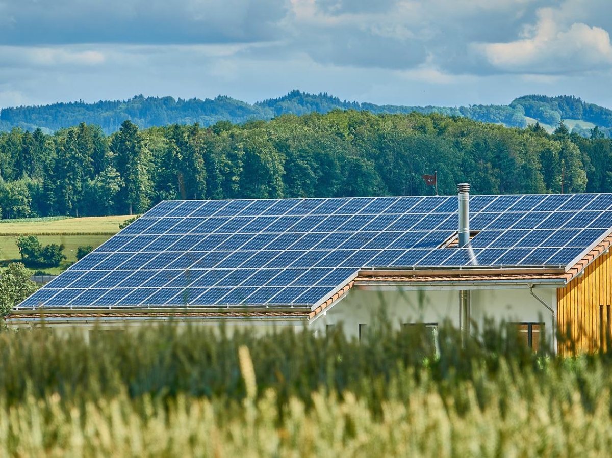 NABU und BfN: Energetische Gebudesanierung und Artenschutz gemeinsam verfolgen