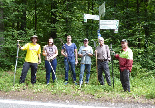 Indisches Springkraut in Ortsgemeinde Dttesfeld bekmpft