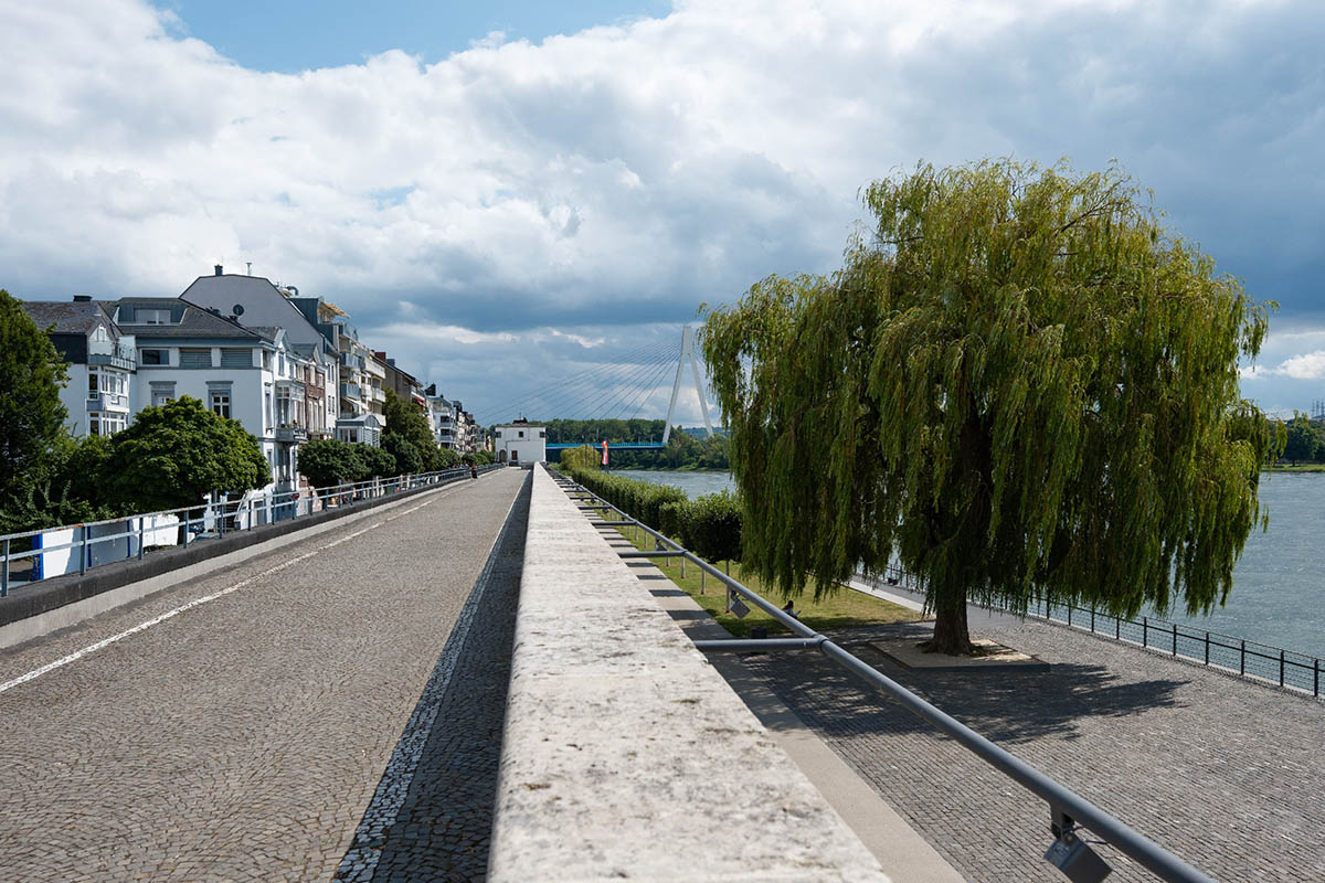 Der Deich ist eines der Neuwieder Wahrzeichen. Bei einer Fhrung erfahren Interessierte mehr ber die Geschichte des Bauwerkes. Foto: Nikolai Benner