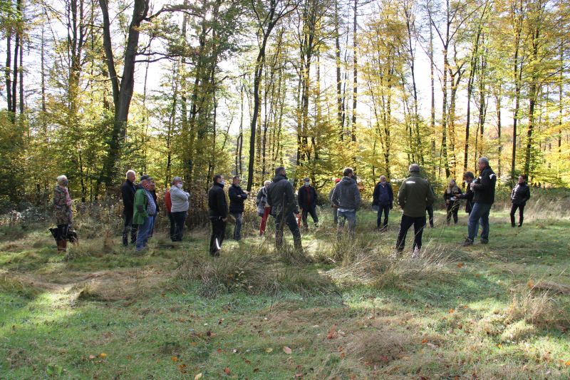 Waldbegang des Wirgeser Stadtrats. Foto: Norbert Schwickert