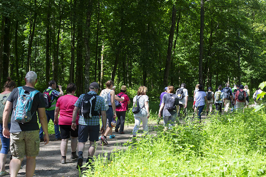 Ein langgezogener Wandertrupp bewegt sich durch den Mrkerwald. Fotos: Helmi Tischler-Venter