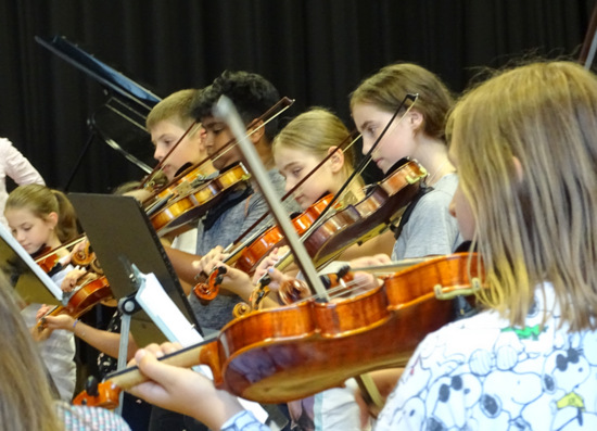 Zum kommenden Schuljahr 2019/2020 bietet das Freiherr-vom-Stein Gymnasium in Betzdorf wieder eine Streicherklasse fr die neuen Fnftklssler an. (Foto: FvSG)