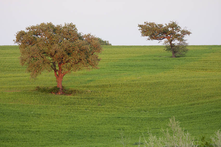 Umgang mit Flora und Fauna