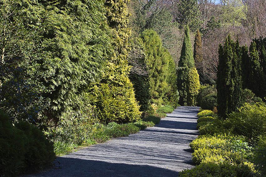 Baum- und Heckenschnitt ab dem 1. Mrz eingeschrnkt