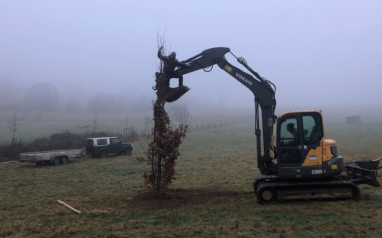 Die Baumpflanzaktion im Tal wird fortgesetzt. (Foto: Kim Wortelkamp)