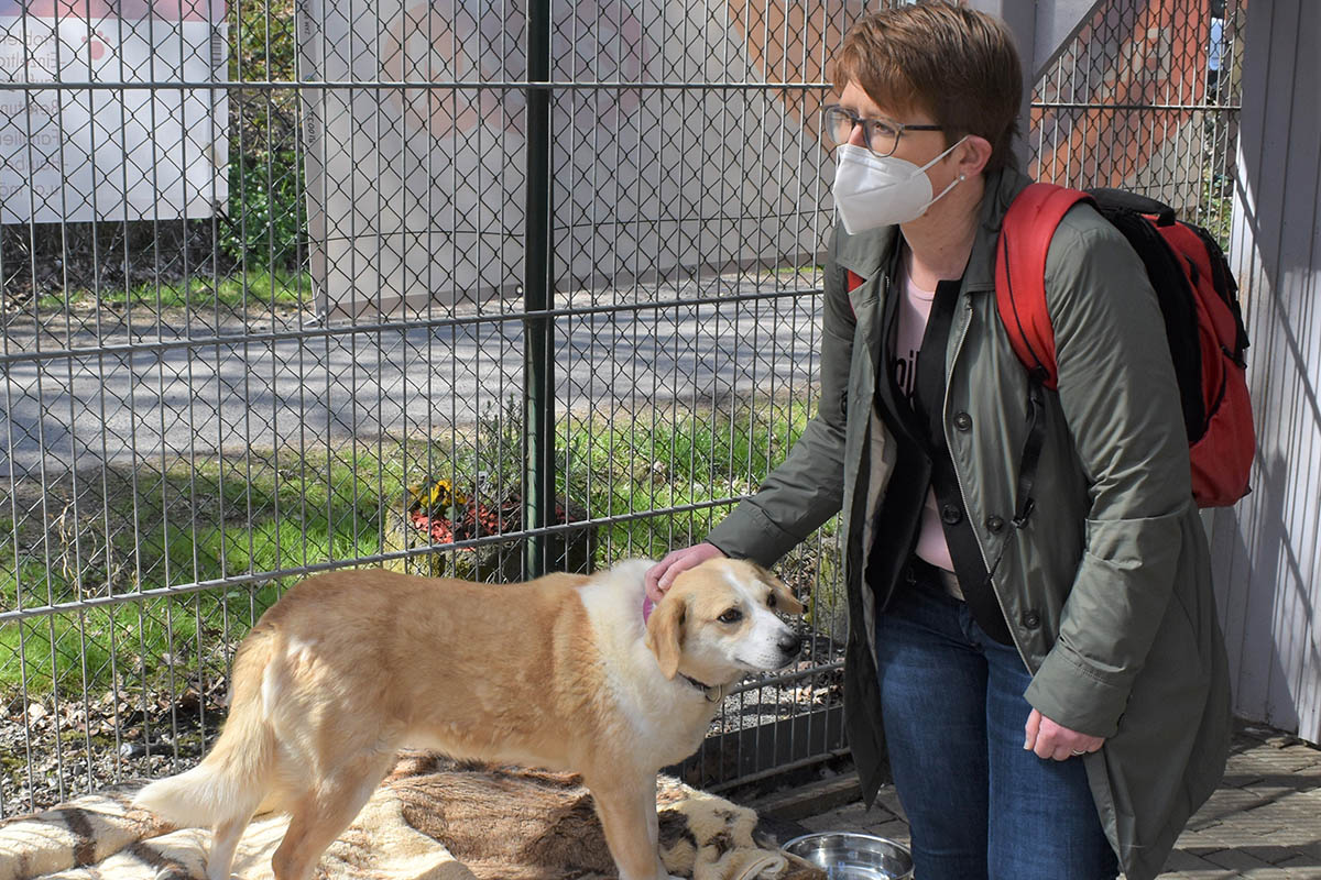 Dr. Tanja Machalet setzt sich fr Tierheim in Ransbach-Baumbach ein