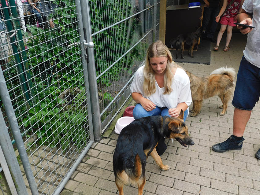 Tierheimfest in Ransbach-Baumbach mobilisierte die Massen