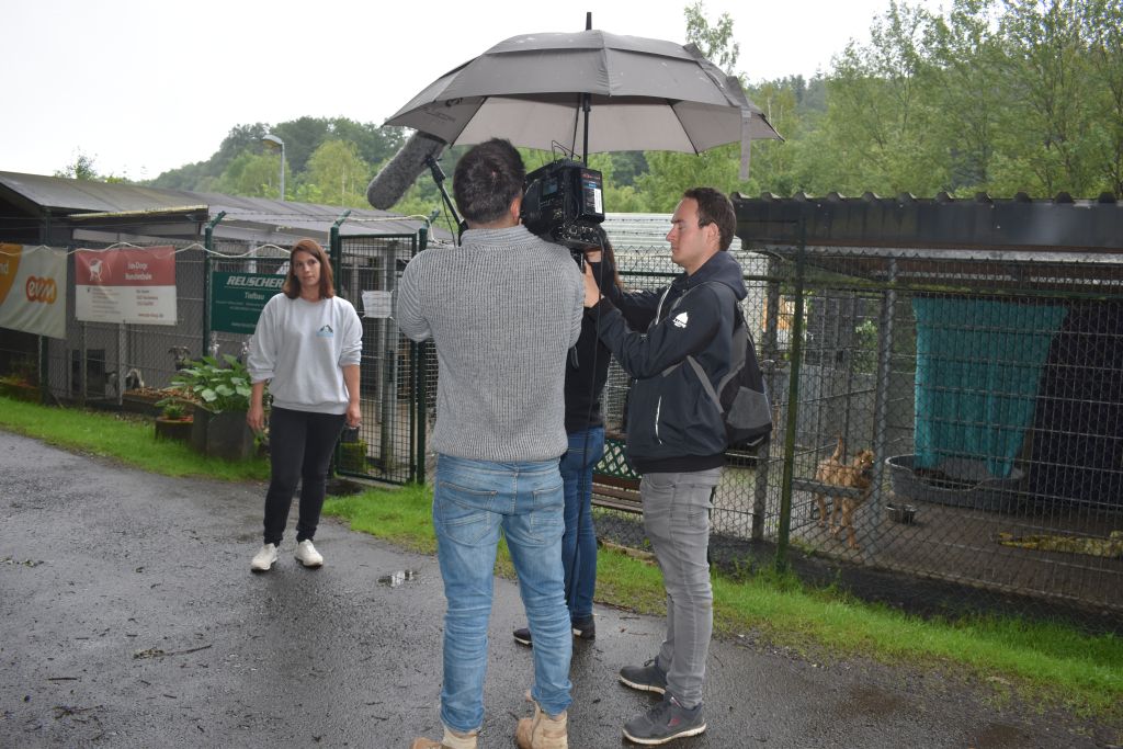 SWR-Landesschau drehte im Tierheim Ransbach-Baumbach