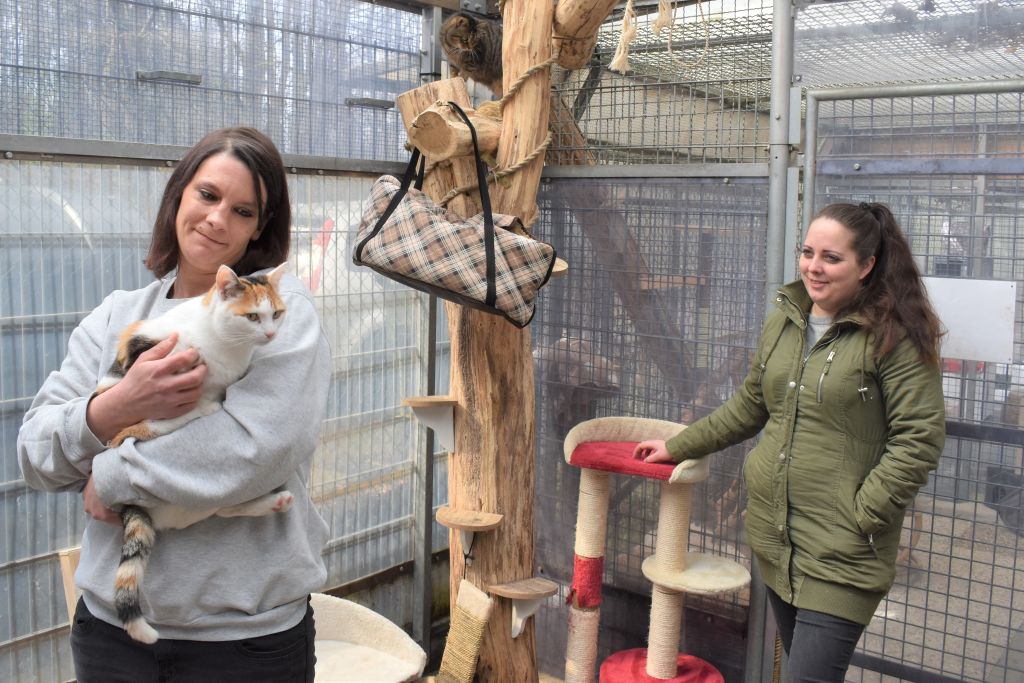 Tierheim Ransbach-Baumbach kmpft ums berleben