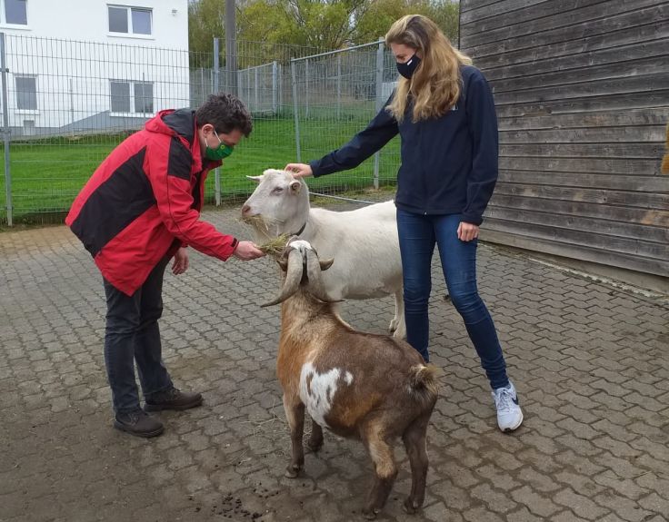 Das Tierheim Montabaur versorgt viele Tiere. Fotos: privat