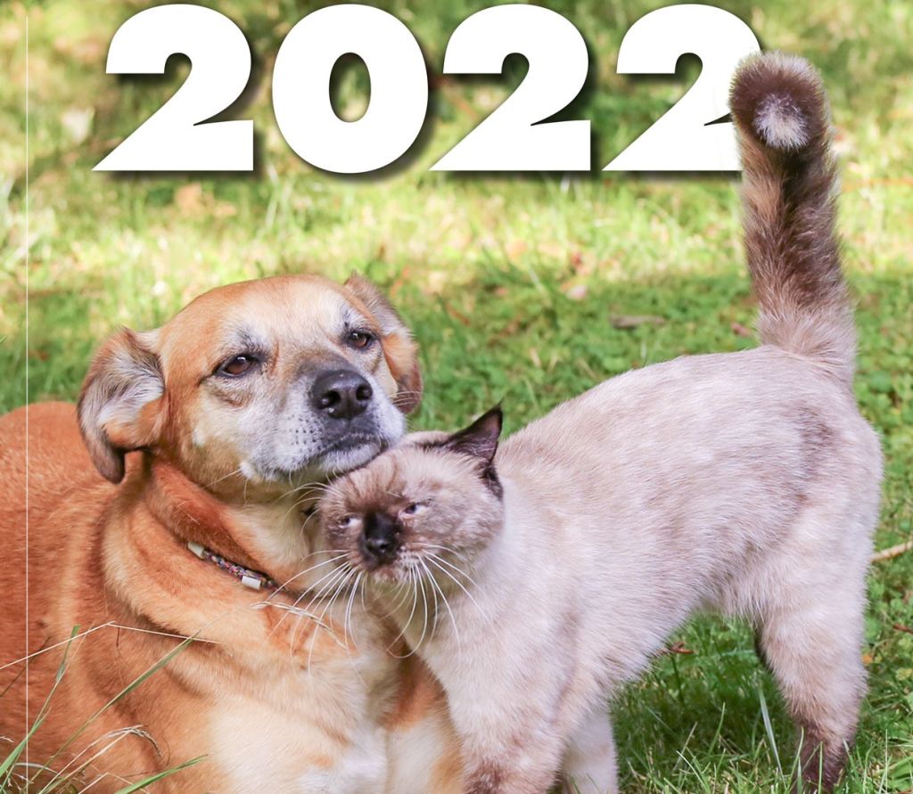 Tiere im Glck  Der neue Kalender fr 2022 ist da