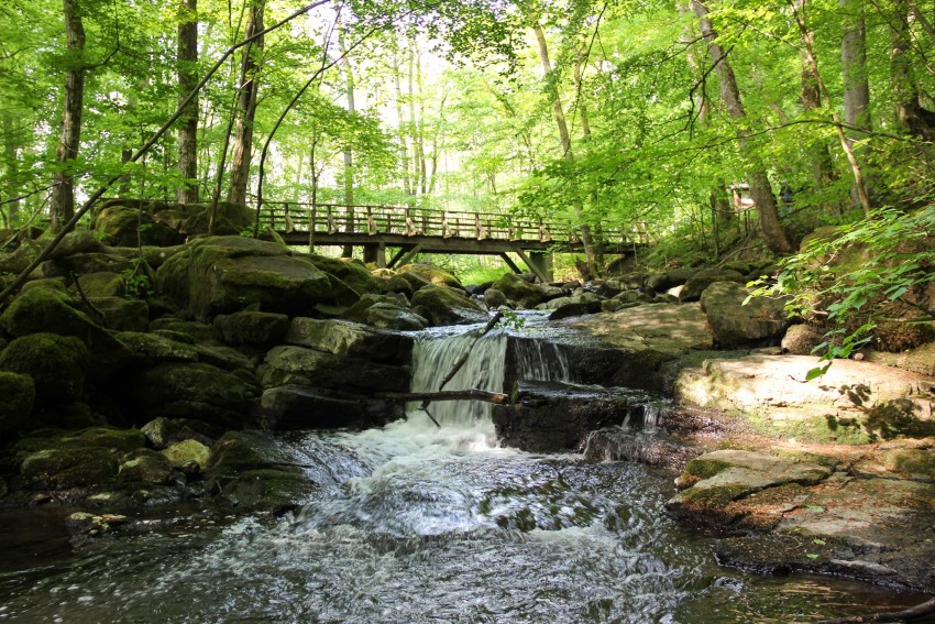 Die Holzbachschlucht bei Seck. Foto: Bjrn Schumacher