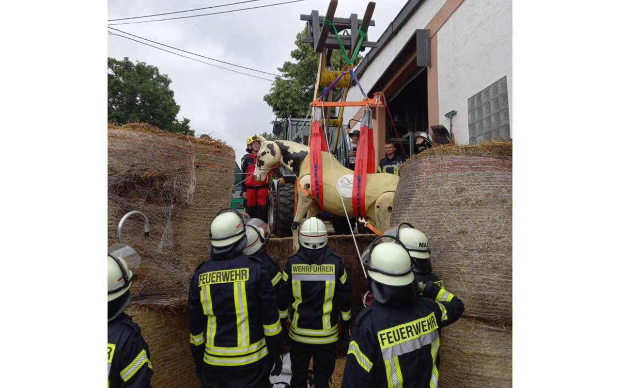 Die Feuerwehr der VG Rengsdorf-Waldbreitbach probte die Grotierrettung. (Fotos: Wehrleitung FF VG RW)