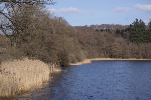 Derzeit erreichen die Kreisverwaltung fast tglich Anzeigen wegen verschiedenster Versten in den Naturschutzgebieten des Haidenweihers, des Brinkenweihers und des Dreifelder Weihers. (Foto: Pressestelle des Westerwaldkreises) 