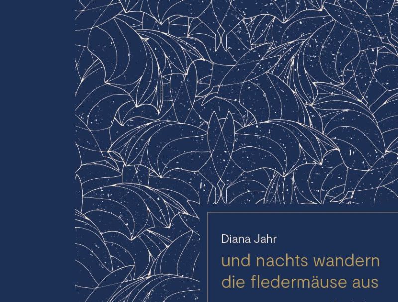 Buchtipp: Und nachts wandern die Fledermuse aus von Diana Jahr