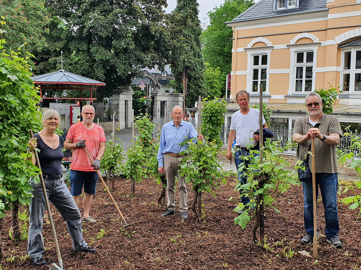 CDU Unkel pflegte Weinberg am Stadteingang